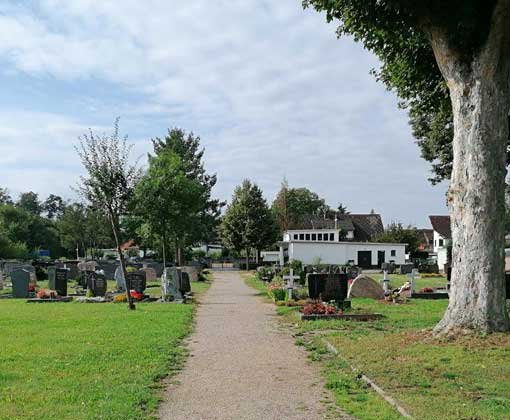 Friedhof Langstadt