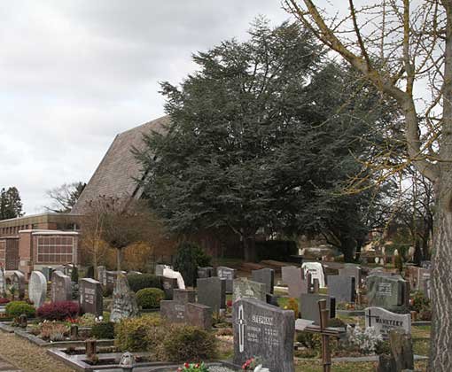 Neuer Friedhof